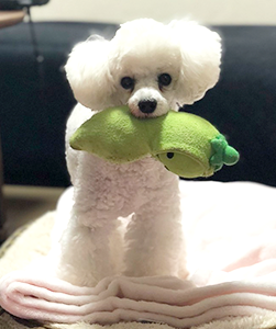 阿河優奈